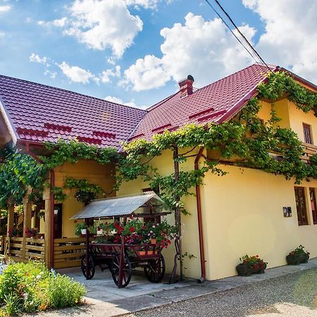 Casa Andreea Hotell Sucevita Exteriör bild