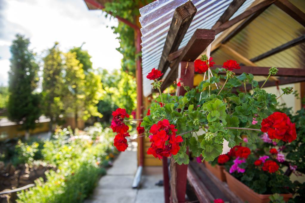 Casa Andreea Hotell Sucevita Exteriör bild