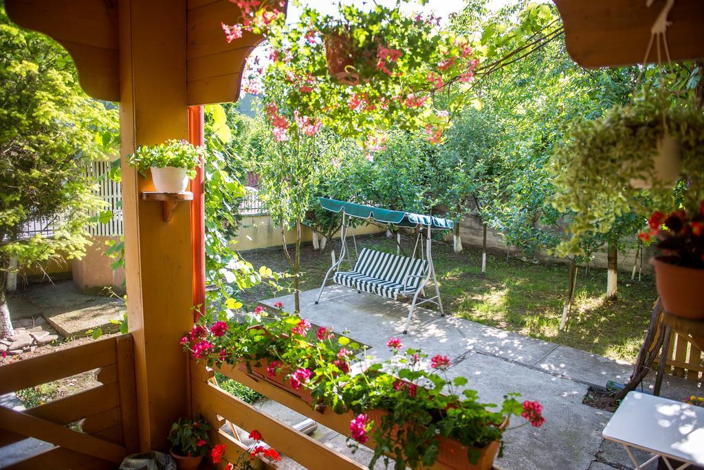 Casa Andreea Hotell Sucevita Exteriör bild