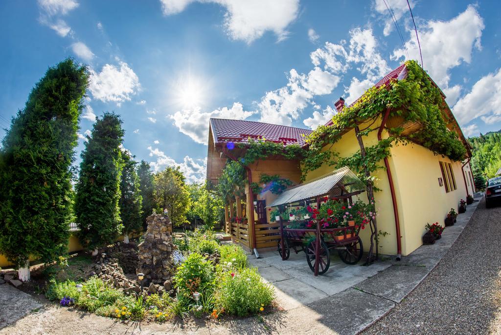 Casa Andreea Hotell Sucevita Exteriör bild